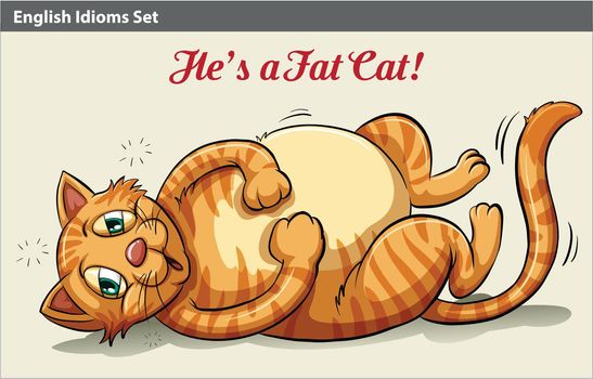 A fat cat