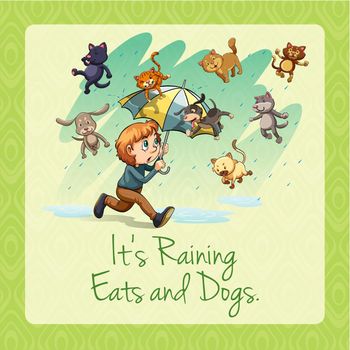 It's raining cats and dogs idiom