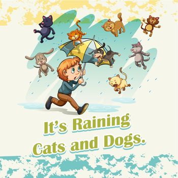 Idiom raining cats and dogs