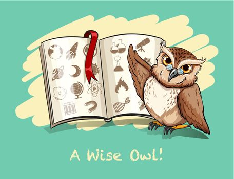 Idiom a wise owl