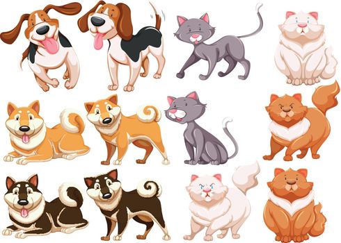 Different pecies of dogs and cats