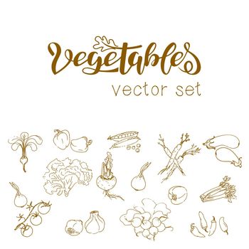 Set of vegetables in sketch style