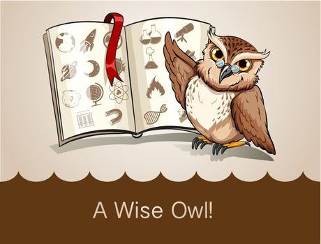 Wise owl and science book