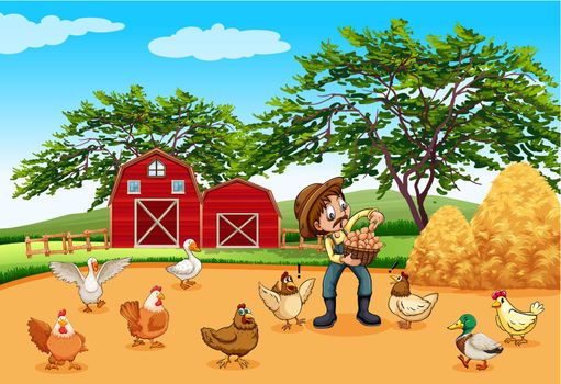 Farmer with chickens and eggs