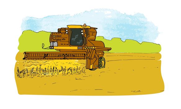 combine harvester in the wheat field