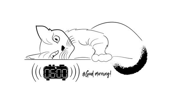 Good morning, comical cat wake up from the alarm clock