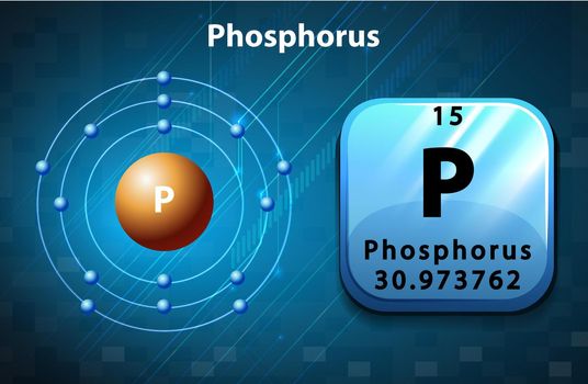 Flashcard of phosphorus atom
