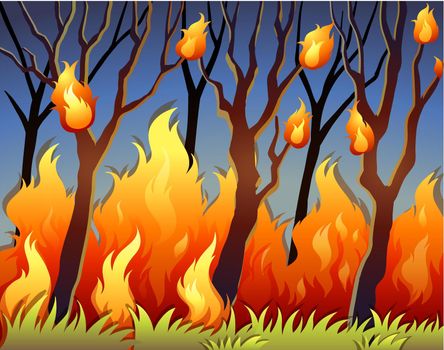 Trees in forest on fire