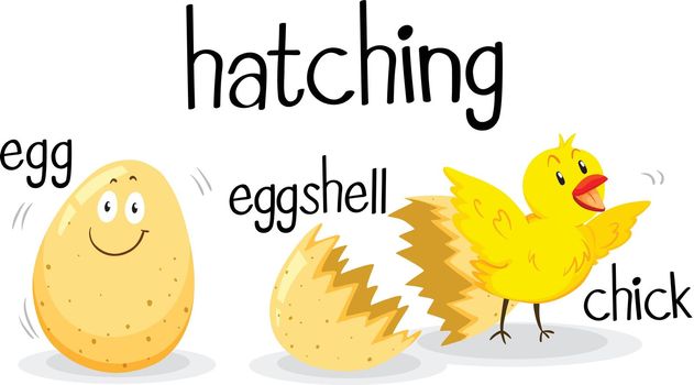 Hatching egg and little chick