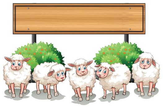 Sheeps and wooden sign