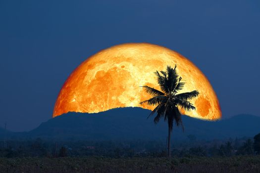 Super blood moon and silhouette coconut tree mountain in the night sky