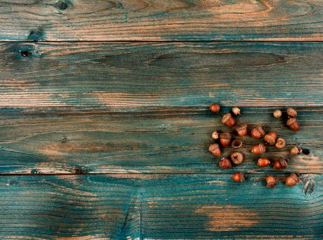 Aged acorns on faded blue wood for either a Halloween or Thanksgiving holiday background