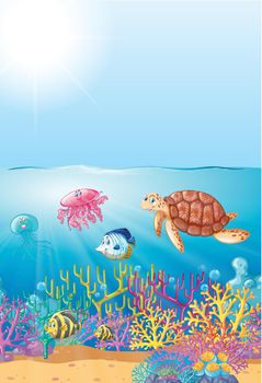 Sea animals swimming under the sea illustration