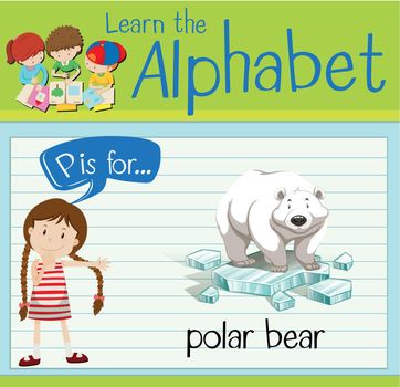 Flashcard letter P is for polar bear