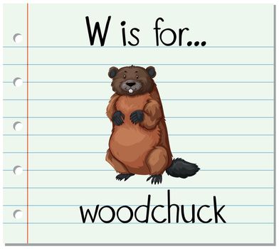 Flashcard letter W is for woodchuck