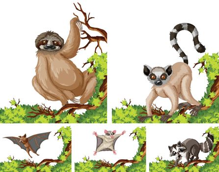 Wild animals on the branch illustration