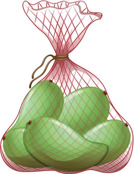 Green mangoes in net bag illustration