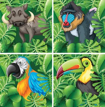Wild animals in the safari illustration