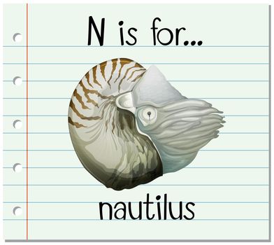 Flashcard alphabet N is for nautilus
