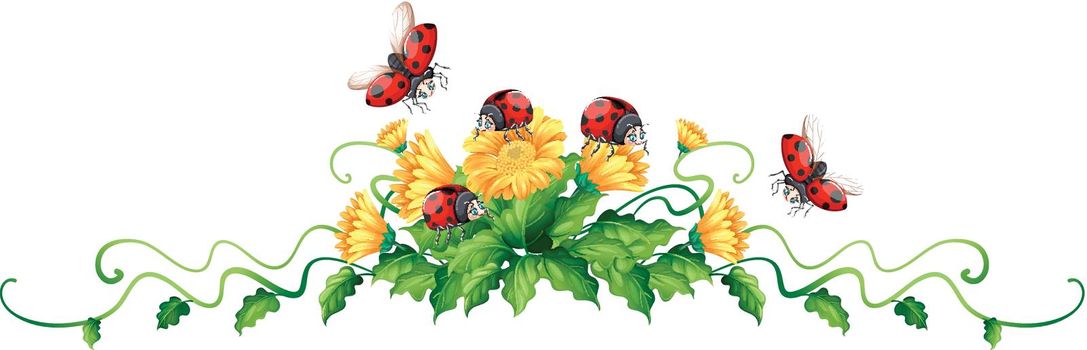 Ladybugs and yellow flowers
