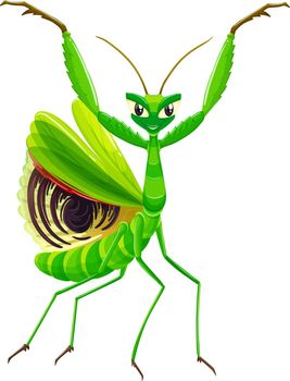 Green mantis on white background