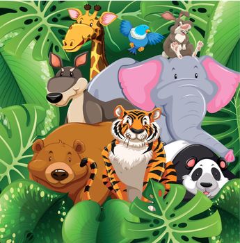 Wild animals in the bush illustration