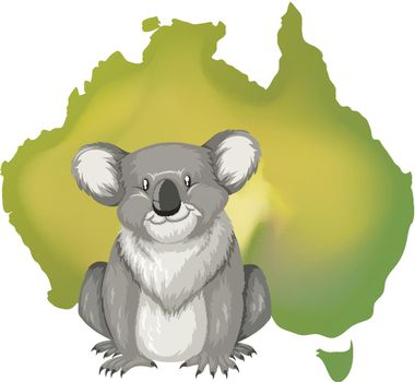 Koala bear and Australian map