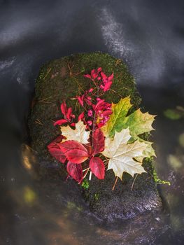Fall bouquet of dry flowers and fallen leaves on stone in creek