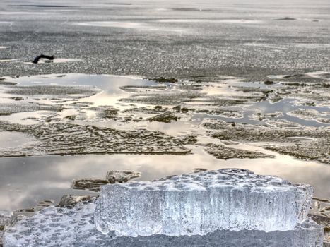 Exposed shore under melting ice. Close up view to border between ice and dark water. 