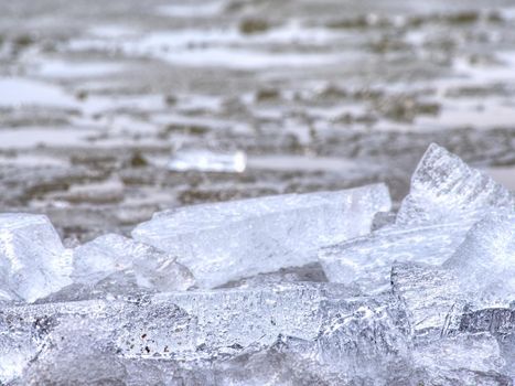 Pieces of clear natural ice on frozen lake,  very close up view. Early mealting of ice