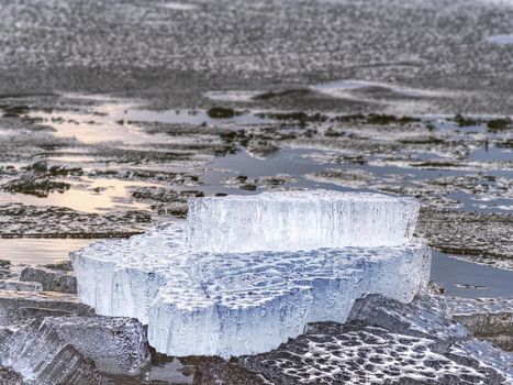 The Disappearing Glacier.  Melting glaciers pose threat to seabed ecosystem