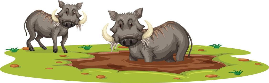 Two Boars Playing in Mud