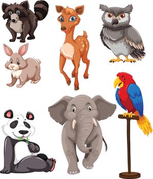 Set of cute animals illustration