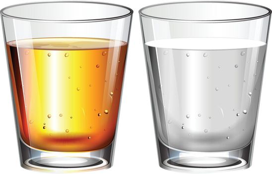 Glasses of Water and Whisky