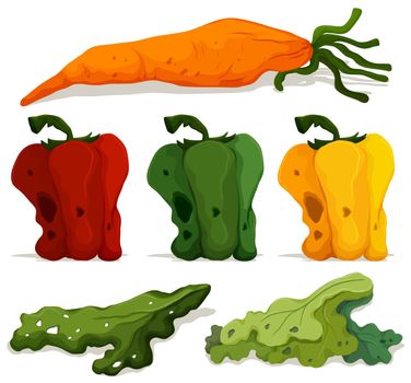 Different types of rotten vegetables