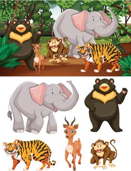 Wild animals in the forest illustration