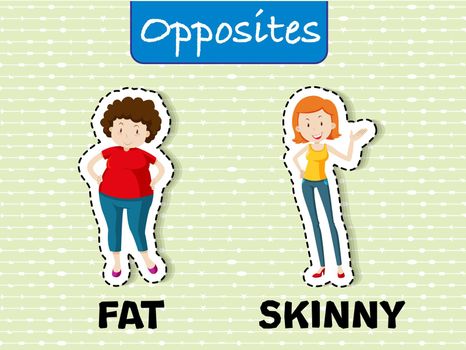 Opposite words for fat and skinny
