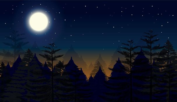 Night forest scene background