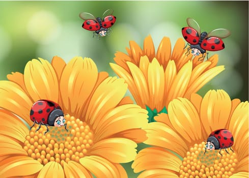 Ladybugs flying in the garden