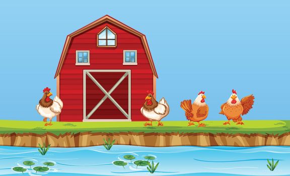 Chickens on farm scene