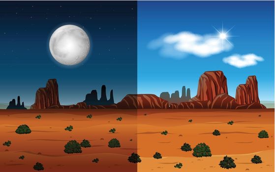 Day and night in a desert