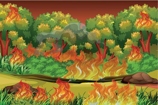 Dangerous forest fire background