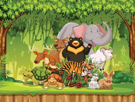 Group of animals in jungle scene