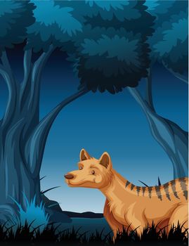 A hyena in tropical rainforest background