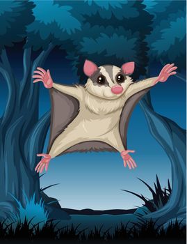 Flying possum in woods