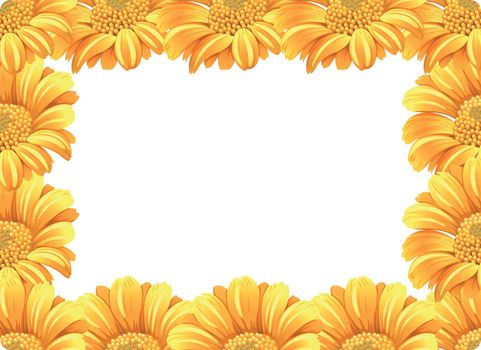 Yellow daisy flower border