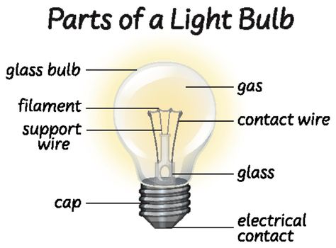 Part if lightbulb diagram