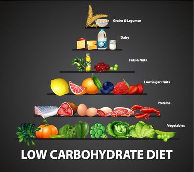 Low carbohydrate diet diagram