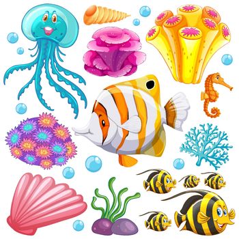 Set of sea creatures and corals on white background