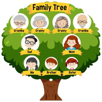 Diagram showing three generation family tree